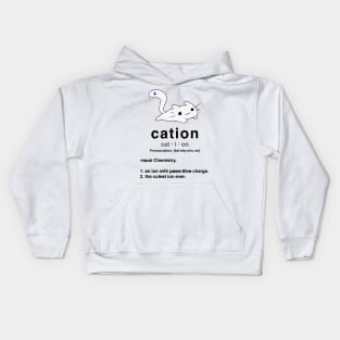 Cation. Cat with positive ion. Chemistry Pun. Kids Hoodie